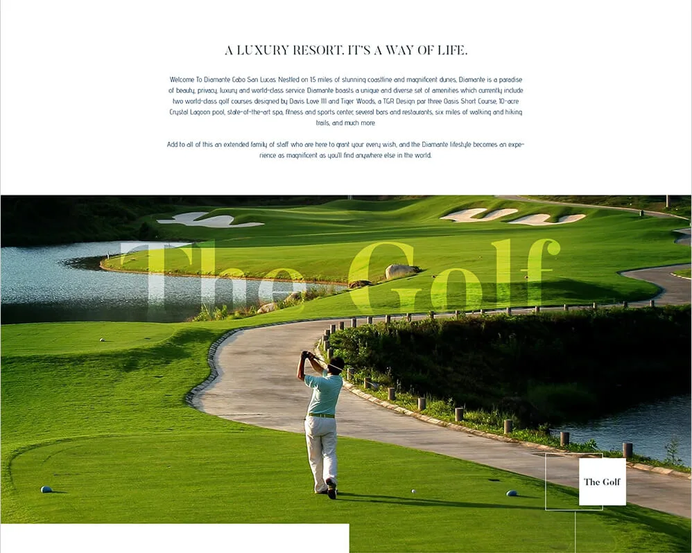 Diamante youth platform branding and interface design - view 4