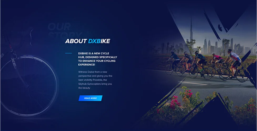DX Bikes online store design - view 4