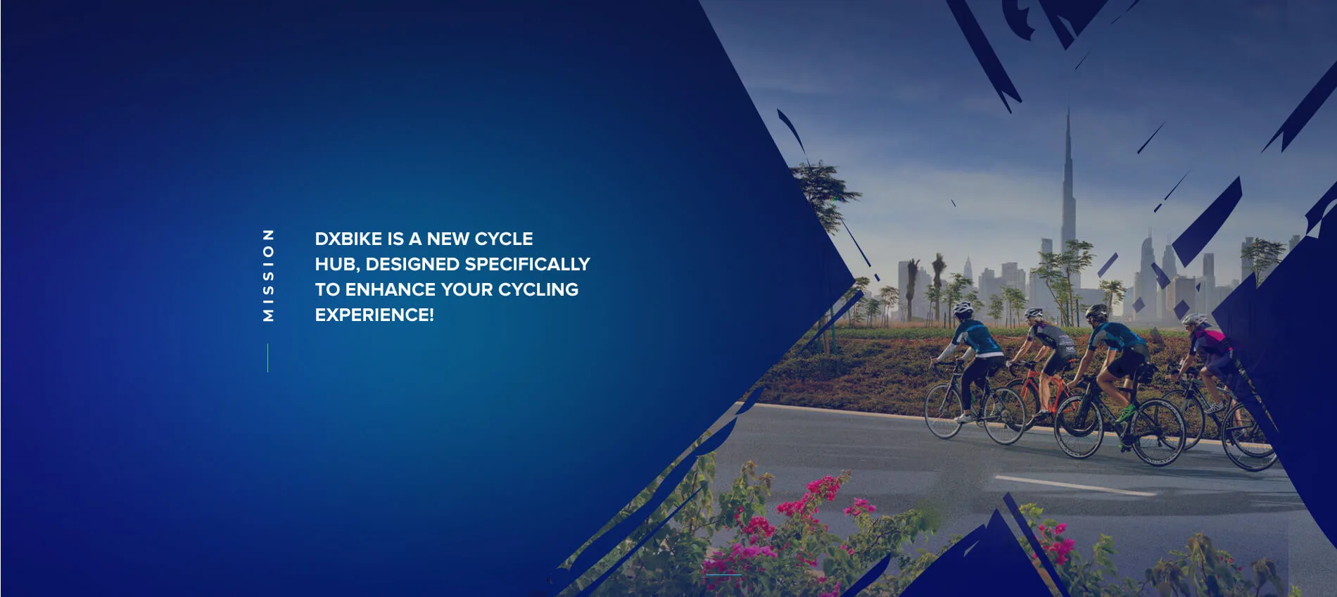 DX Bikes online store design - view 12