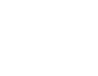 Development Stage 2
