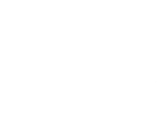 WireFraming2
